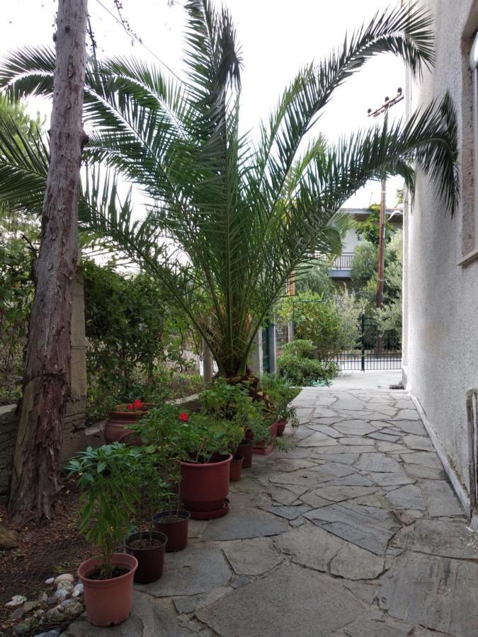 Velikis Apartments Toróni Kültér fotó